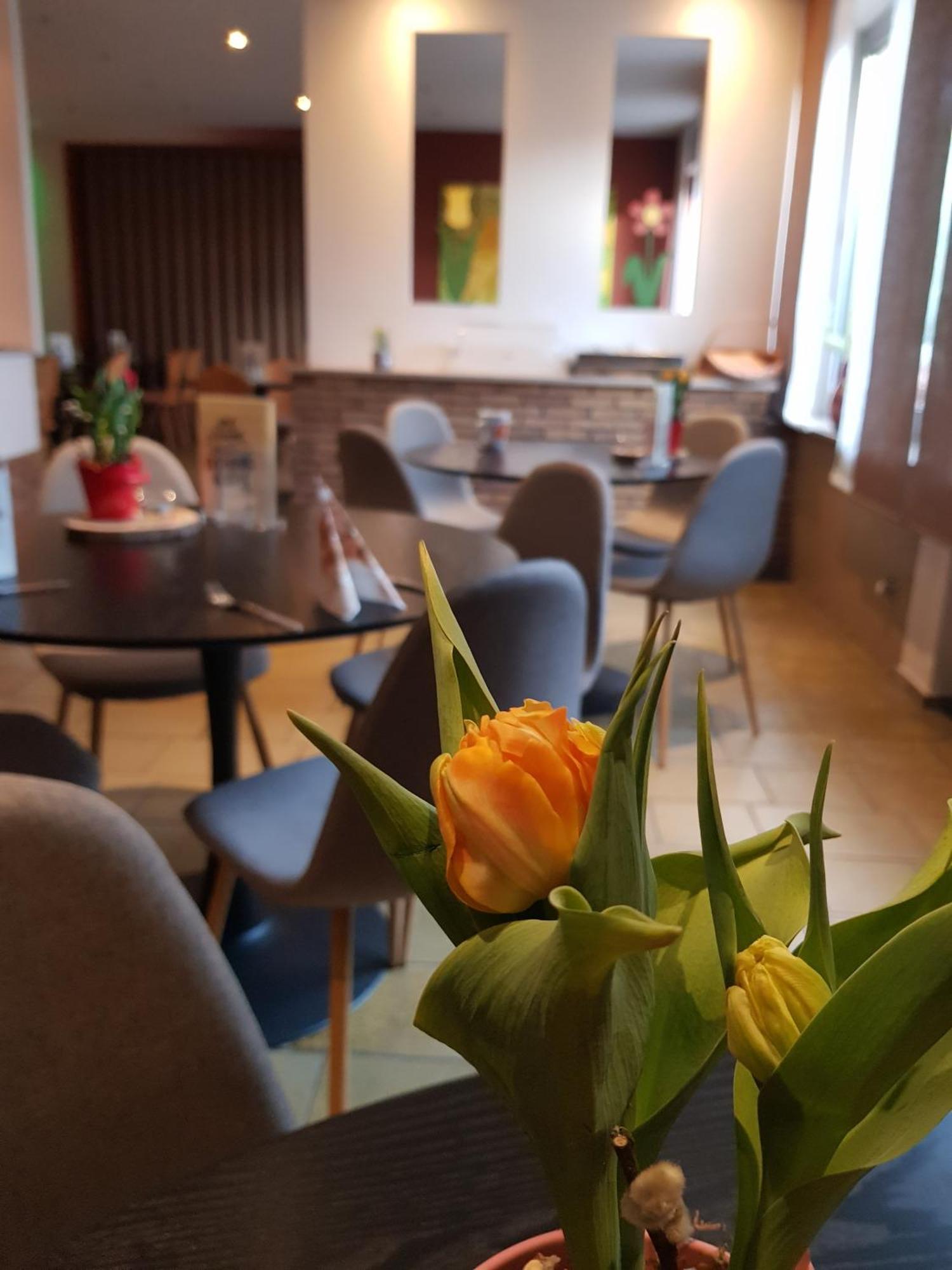 Hotel Landgasthof Hirsch Marktlustenau Экстерьер фото